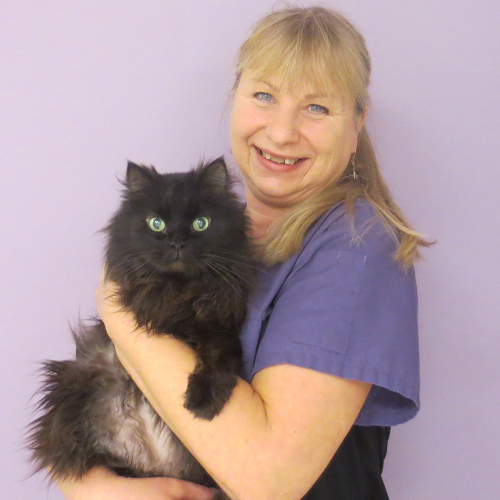 About Us Hastings Veterinary Hospital